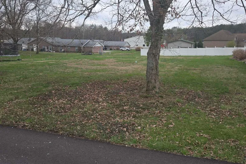 127 Vine Street — lot view 2
