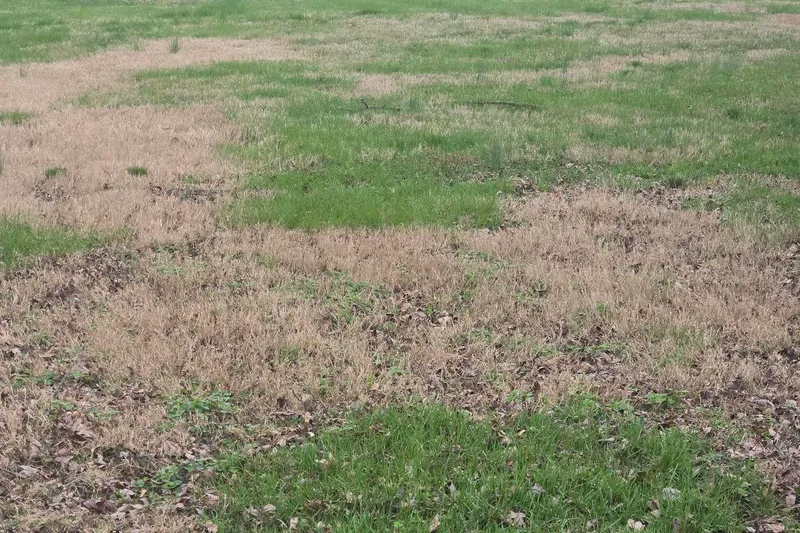127 Vine Street — lot view 3