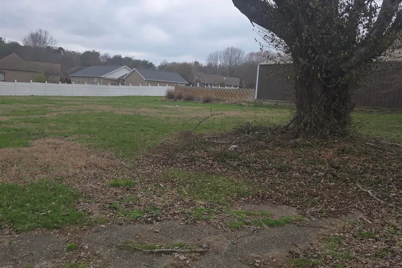 127 Vine Street — lot view 4